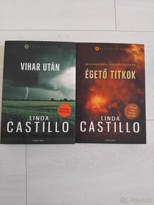 Linda Castillo: Vihar után, Égető titkok