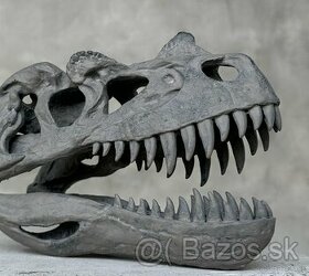 Replika lebky dinosaura Ceratosaurus Múzejná kvalita, 20cm