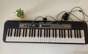 Casio Casiotone LK- S250