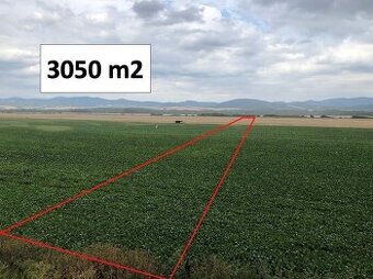 Piešťany  – 3.050 m2 ORNÁ PÔDA v podiele 1/1 – Predaj - 1