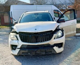 Mercedes Benz ML 250 AMG optic