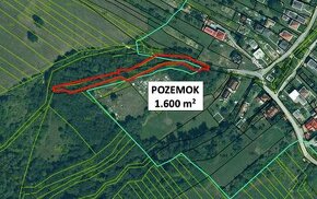 Raslavice - 1600 m2 Lesík priamo v obci – PREDAJ