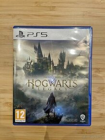 PREDAM Hogwarts legacy ps5