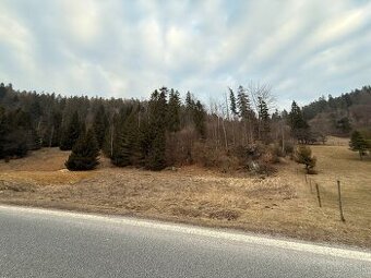 Pozemok na Hnilčíku, okr. Sp. Nová Ves