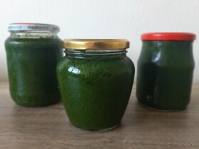 Pesto medvedí cesnak - 1