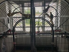 Veľká klietka pre papagaje