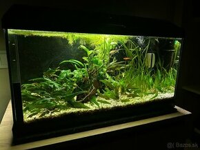 Akvarium 54l