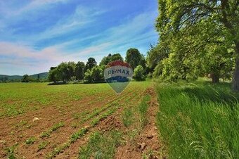 NA PREDAJ pozemok v Bošáci, možná budúca výstavba