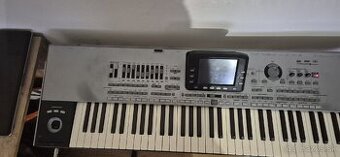 Predam korg pa3x muzikant 76