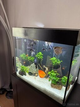 Akvarium Juwel 120 lido