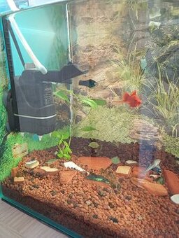 Akvarium + príslušenstvo