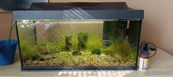 Akvarium 60 litrove.