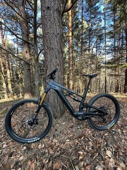 Ebike Canyon Torque ON9 - 1