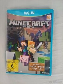 Nintendo wii Minecraft - 1