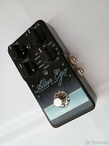 TC Electronic Alter Ego V2 Vintage Echo