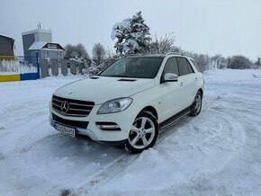 Mercedes-Benz ML 250 4MATIC