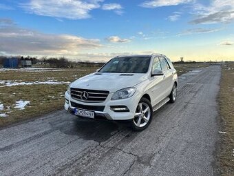 Mercedes-Benz ML 250 4MATIC - 1