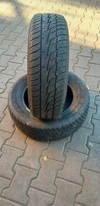 205/55R16 zimné  2ks