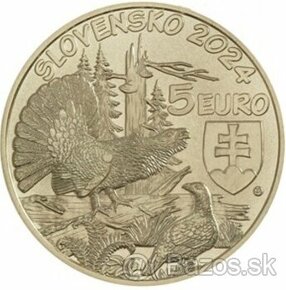 5 eurové mince / 5€ Slovensko / pinzeta na mince.