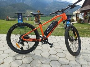 E - Bike - 1