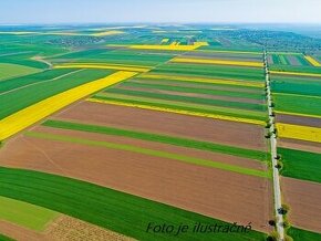 Pozemok na výstavbu rodinného domu okres Levice