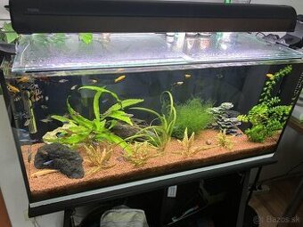 Predam akvarium