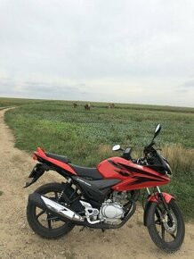 Honda CBF125M