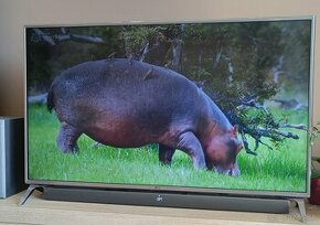 Predam 4k TV LG49UJ651V