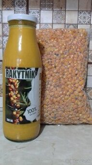 Rakytník