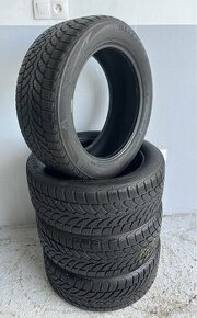 225/50 R17 Zimne Bridgestone - 1