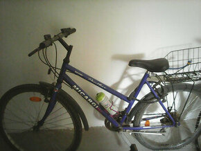 Bicykle - 1
