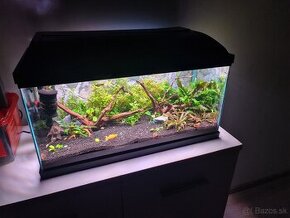 60litrove akvarium