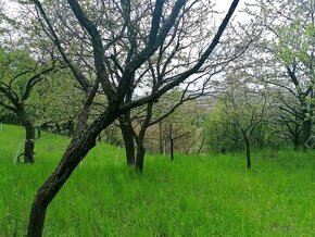 Pozemok blízko centra Košíc s krásnym výhľadom.