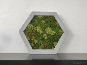 Predám obraz z machu: Hexagon šedý M (50 x 45 cm)