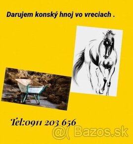 Konský hnoj