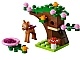 41023 Fawn's Forest