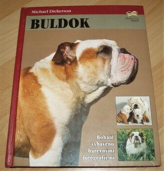 Buldok