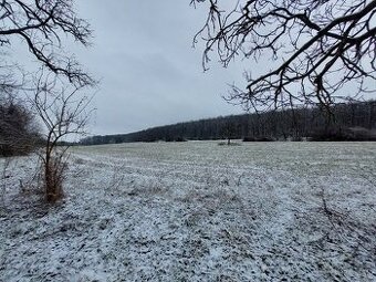 Rozľahlý pozemok pod lesom 1,7ha