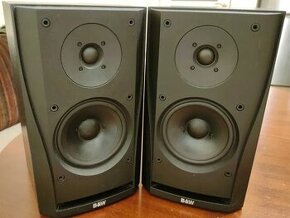 Bowers & Wilkins DM 302