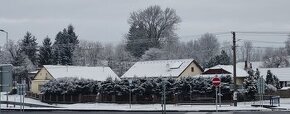 Na predaj rodinný dom s rozsiahlym pozemkom