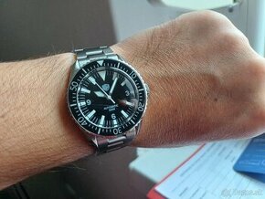 Watchdives WD1967