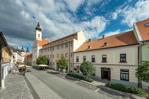 EXKLUZÍVNE Na predaj historická budova v cente mesta Trnava - 1