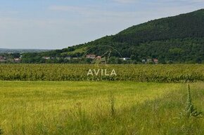 NA PREDAJ: vinohrad o výmere 4740m2 - Horné Orešany