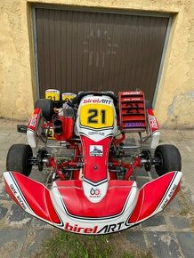 Motokára Birel Art KZ2