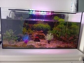 Zabehnuté komplet akvarium 54 l - 1