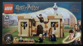 Lego Harry Potter 76395 First Flying Lesson