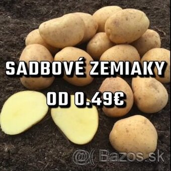 Sadbové zemiaky