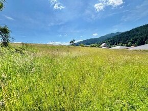 Predaj rozľahlého  pozemku na výstavbu v Korni