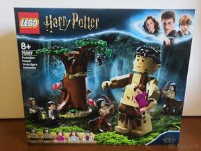 Lego Harry Potter 75967 nové neotvorené