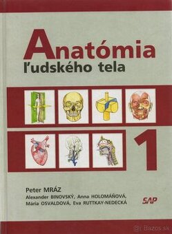 Anatómia Mráz I. a II. v PDF forme